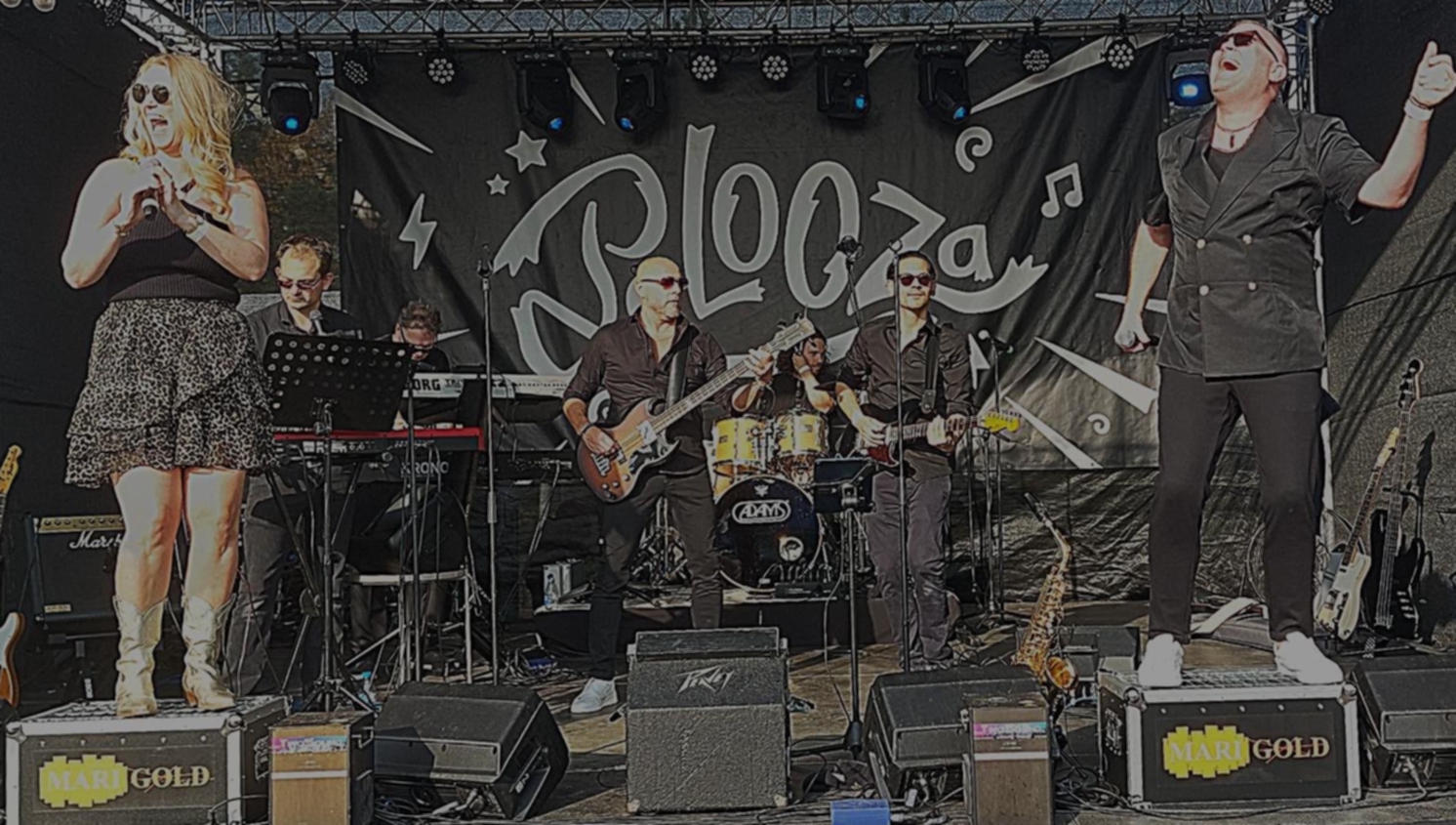 Marigold Band